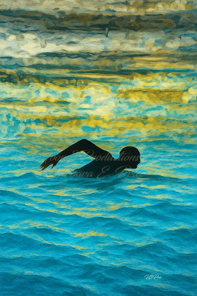 No. 205 Swimmer in Golden Waters U3P25395