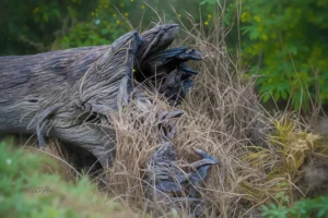 No. 135 U3P04912 Nature Grip