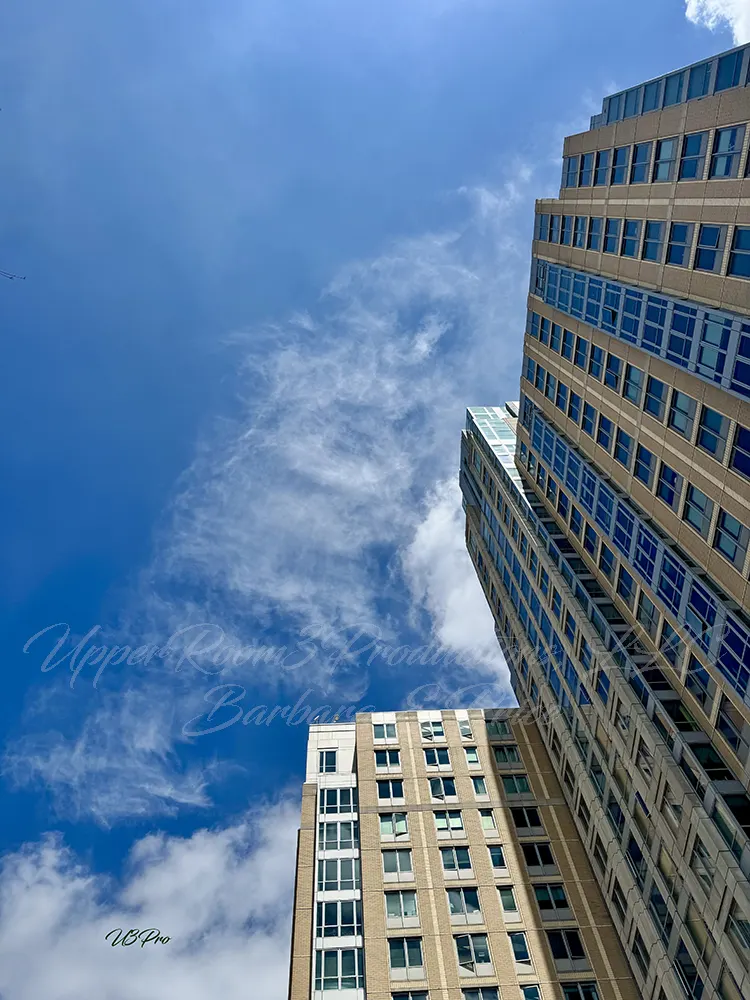 No. 141 IMG_4600 Skyward Rise