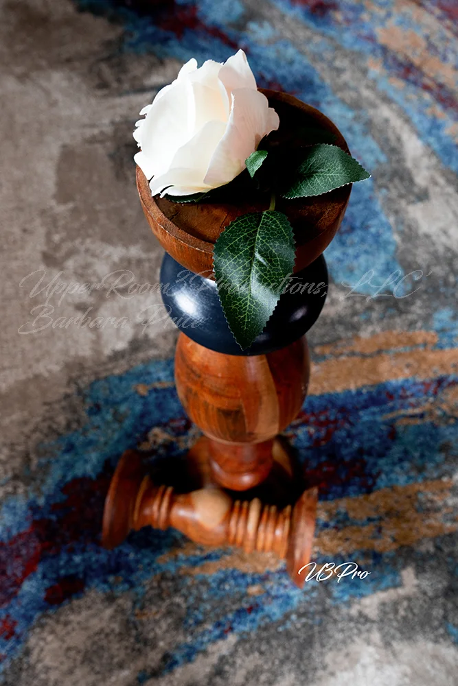 No. 15 DSC00002 Elegence in Simplicity