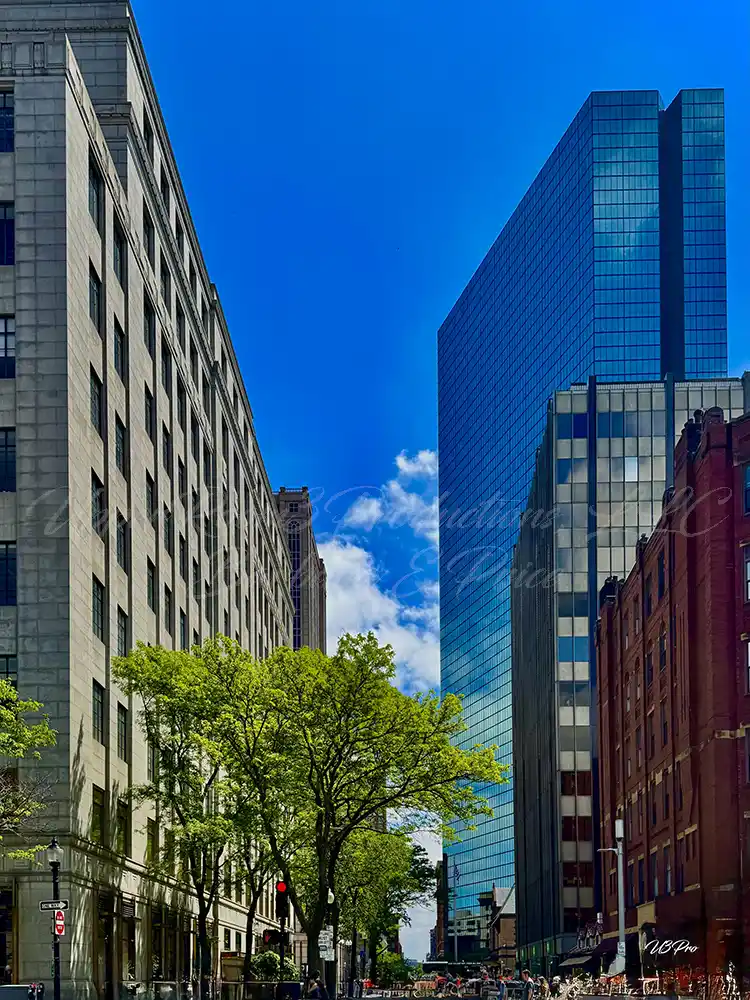 No. 157 Skyline Embrace