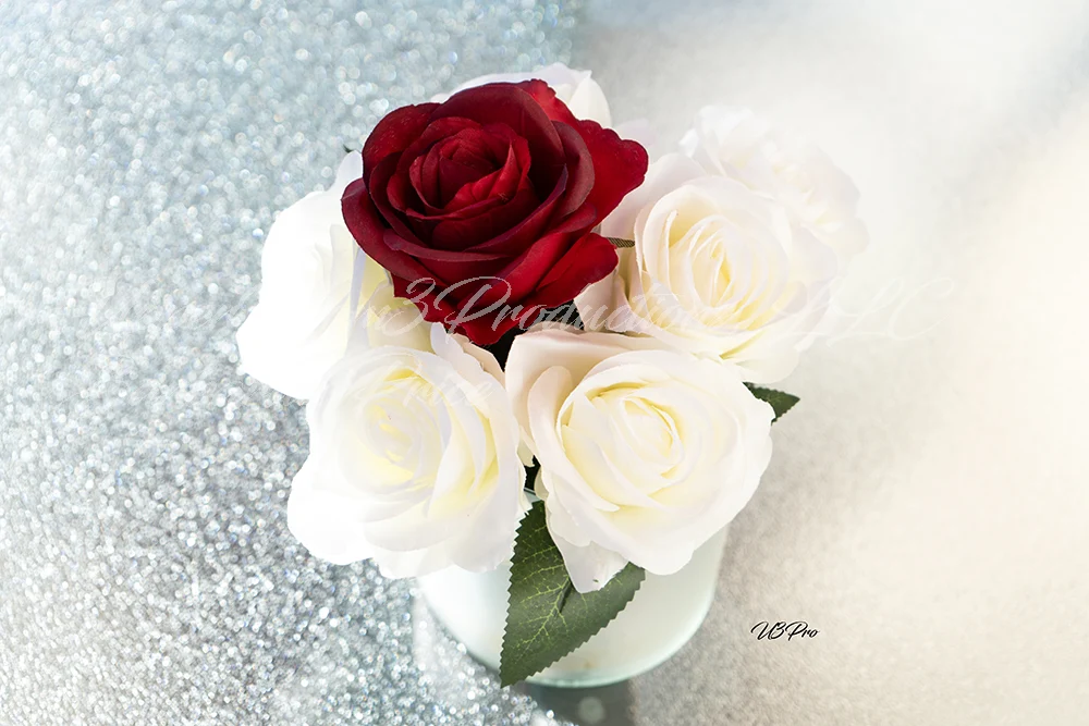 No. 19 DSC09741 elegance in Contrast