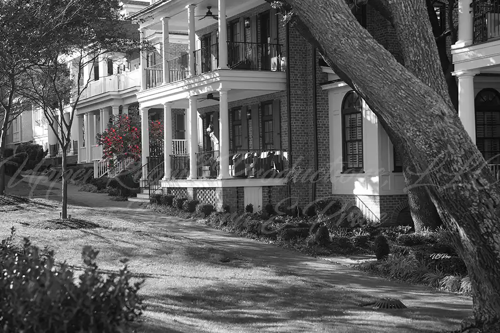 No. 190 Touch of Red DSC02841 copy3