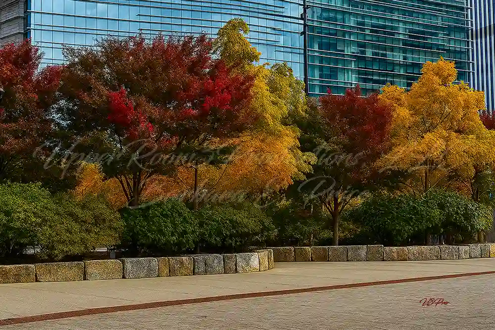 No. 203 Cityline Harvest Hues U3P6727