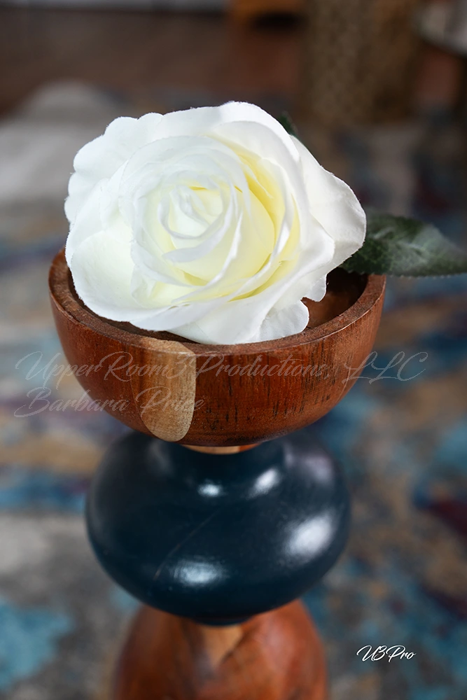 No. 25 DSC00016 Elegence in Simplicity