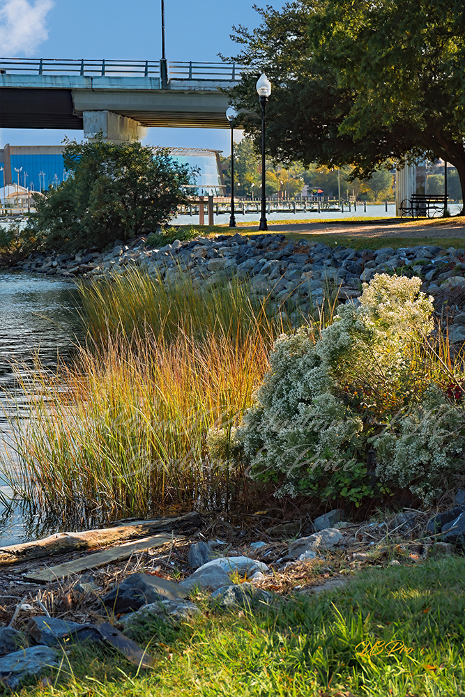 No. 4 DSC02458a-Serene Riverside Escape 4