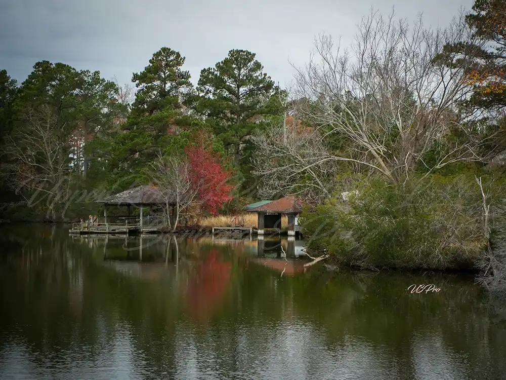 No. 46 DSC04335 Whispering Waters 46