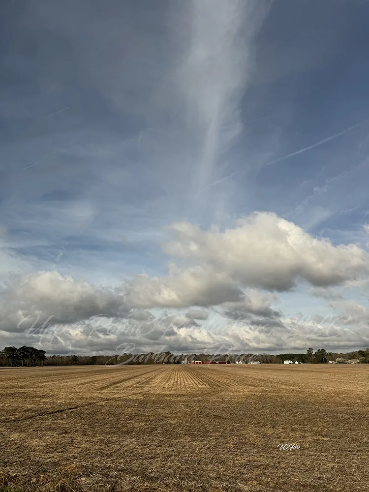 No. 55 IMG_0381 Open Skies Over the Fields