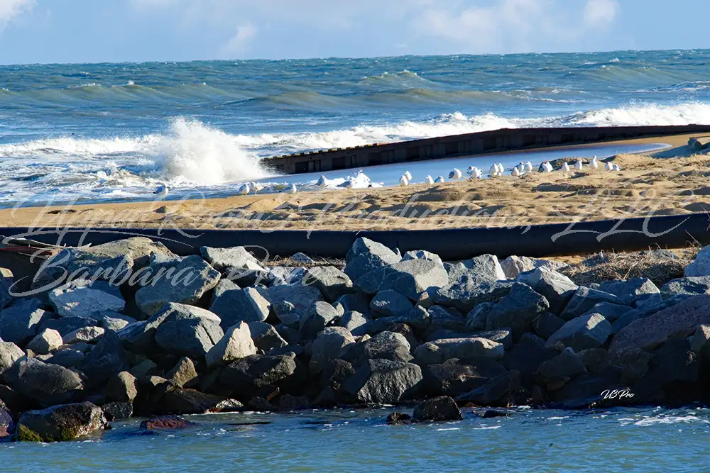 No. 62 DSC04848 Coastal Assembly