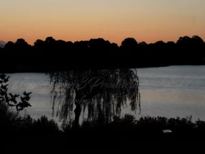 No. 68 DSC09872 Twilight Serenity by the water 68
