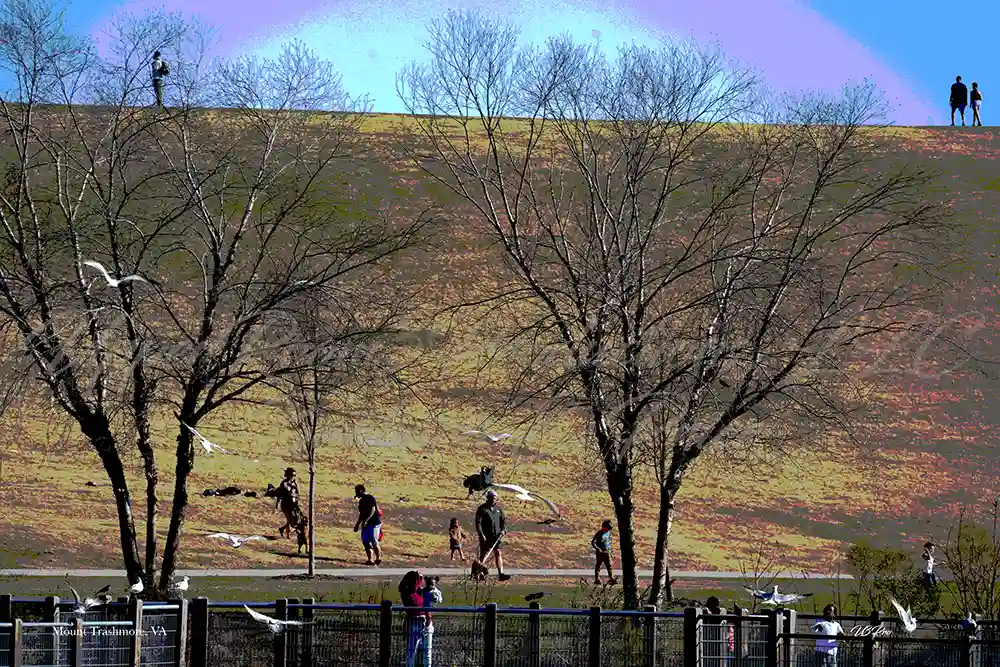 No. 73 DSC02162 A Day at Mount Trashmore 73