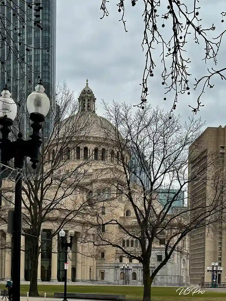 No. 92 U3P00092 Timeless Grace (P)