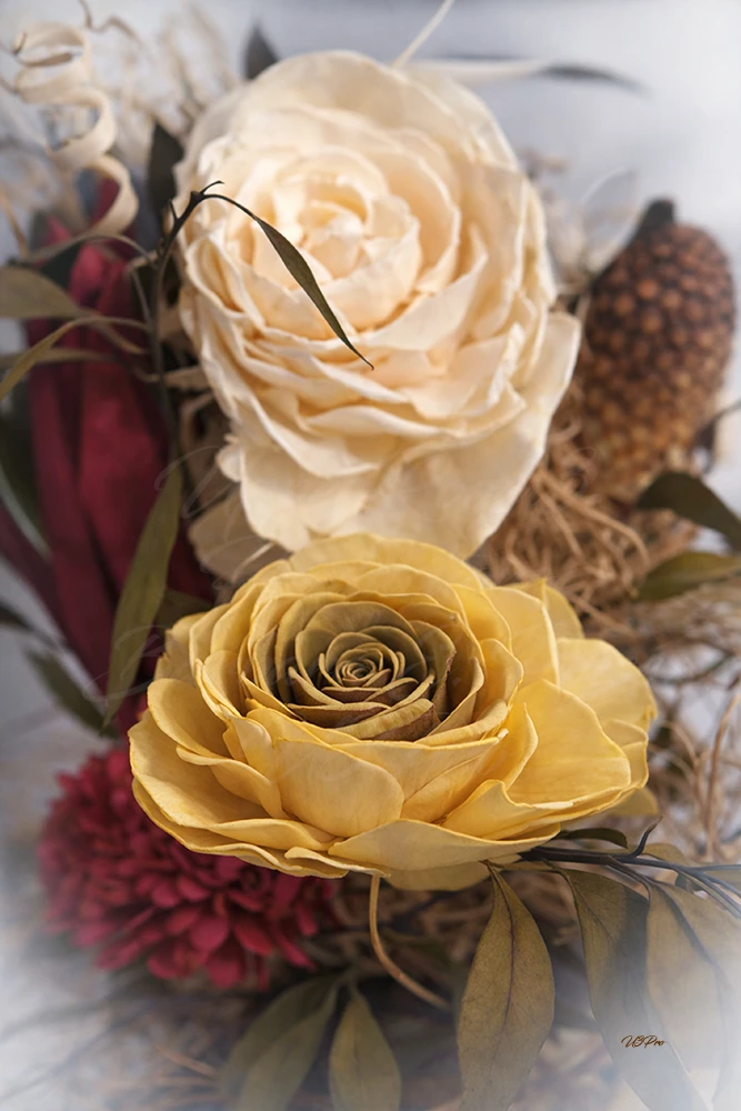 No. 94 DSC09736 Ethereal Blooms