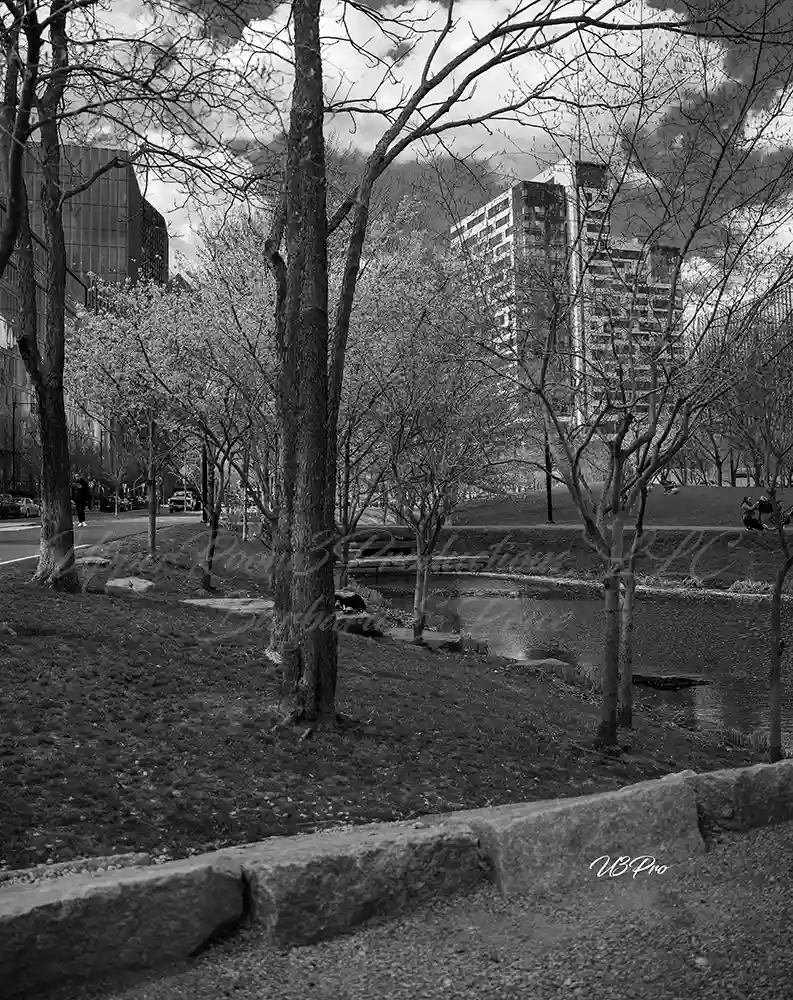 No. 97 U3P03160 Silent Moments between City and Sky