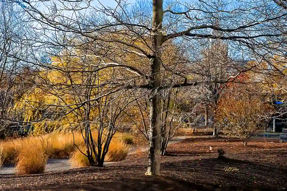 No. 99 DSC00019 The crossroads of Nature