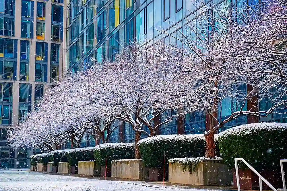 No. 221 Line of Stillness U3P20004